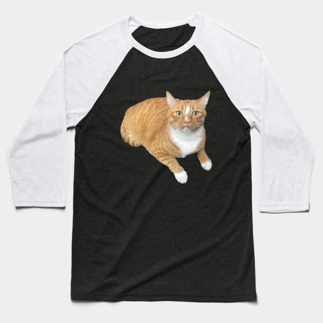 Orange cat scared face Baseball T-Shirt by chloemark